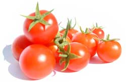 Пять важных правил по уходу за томатами в июне